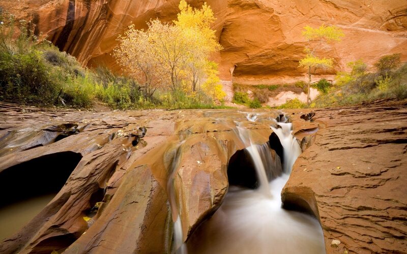 Stream in Red Rock Canyon — Serene, Autumn, Photograph, Trees