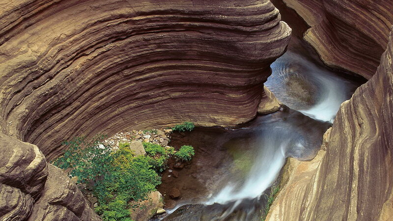 Stream in Rock Canyon — Brown, Serene, Photograph, Water, Plants