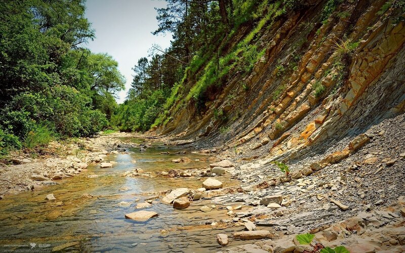 Stream in Rocky Canyon — Green, Serene, Afternoon