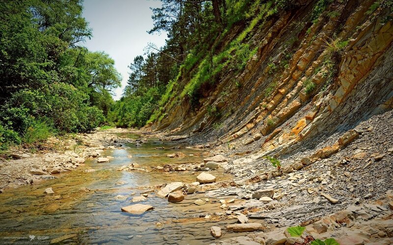 Stream in Rocky Canyon — Green, Serene