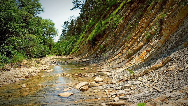 Stream in Rocky Canyon — Green