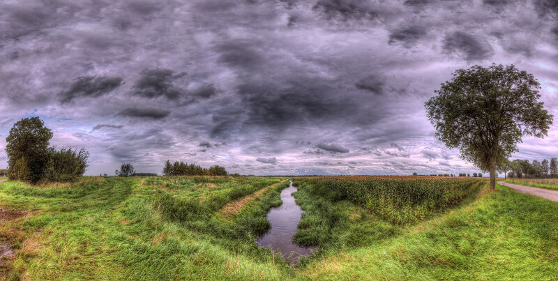 Stream in Rural Landscape