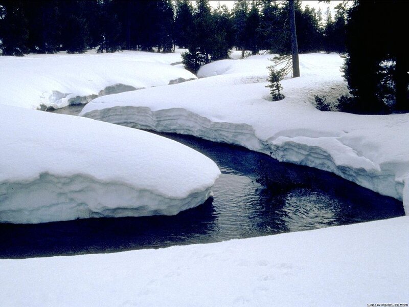 Stream in Snow