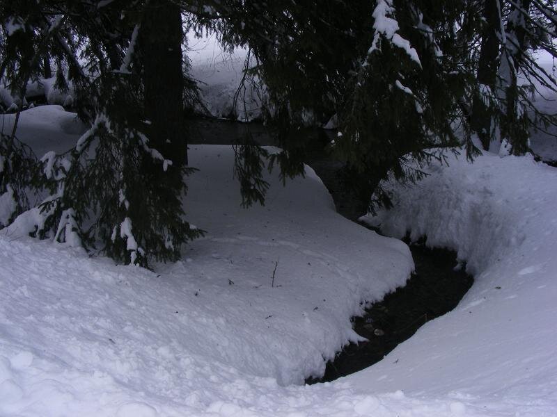 Stream in Snow — White, Quiet