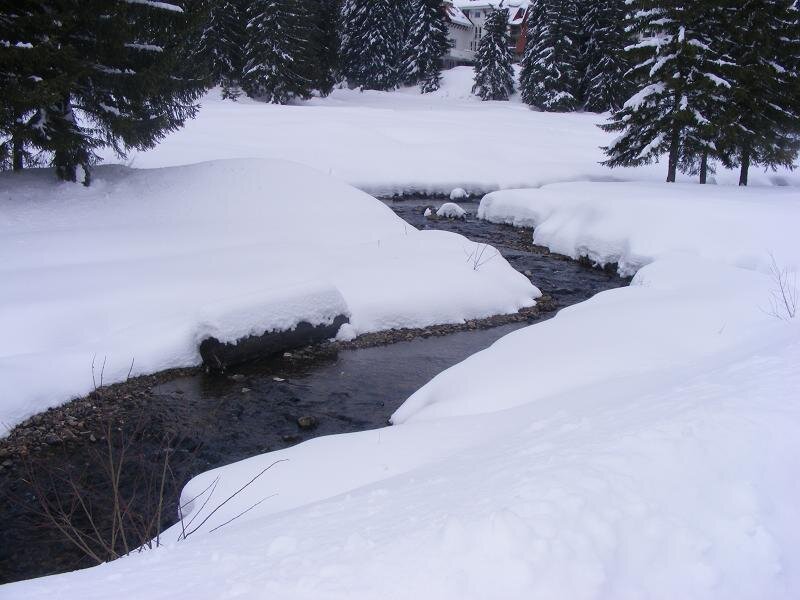 Stream in Snow — White, Serene