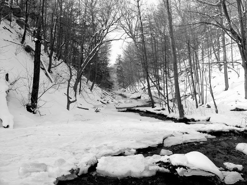 Stream in Snowy Forest — Black