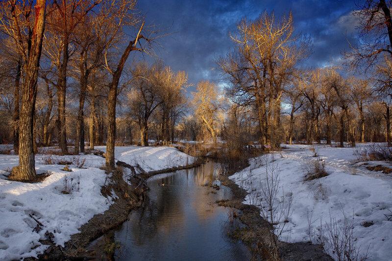 Stream in Snowy Forest — Blue, Dramatic