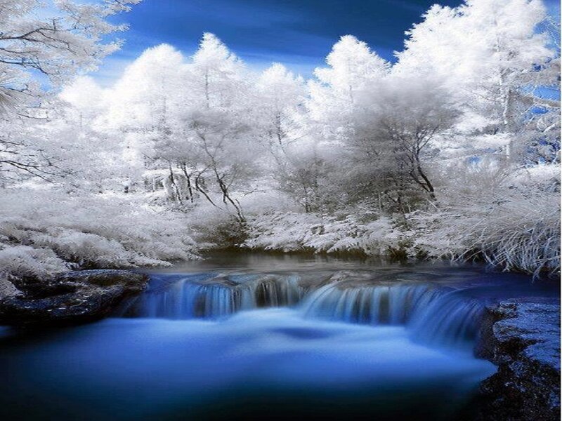 Stream in Snowy Forest — Blue, Serene