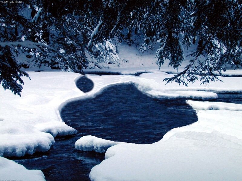 Stream in Snowy Forest — Blue, Serene, Winter, Photograph, Snow, Trees, River