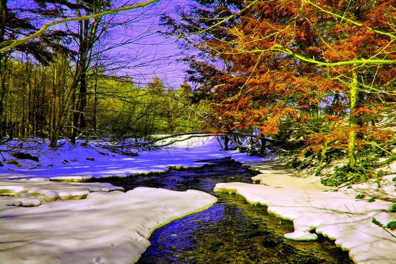 Stream in Snowy Forest — Blue, Serene, Winter