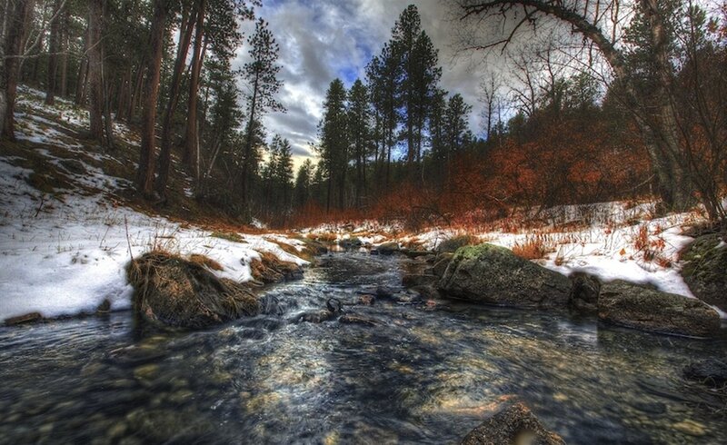 Stream in Snowy Forest — Green, Dramatic, Winter