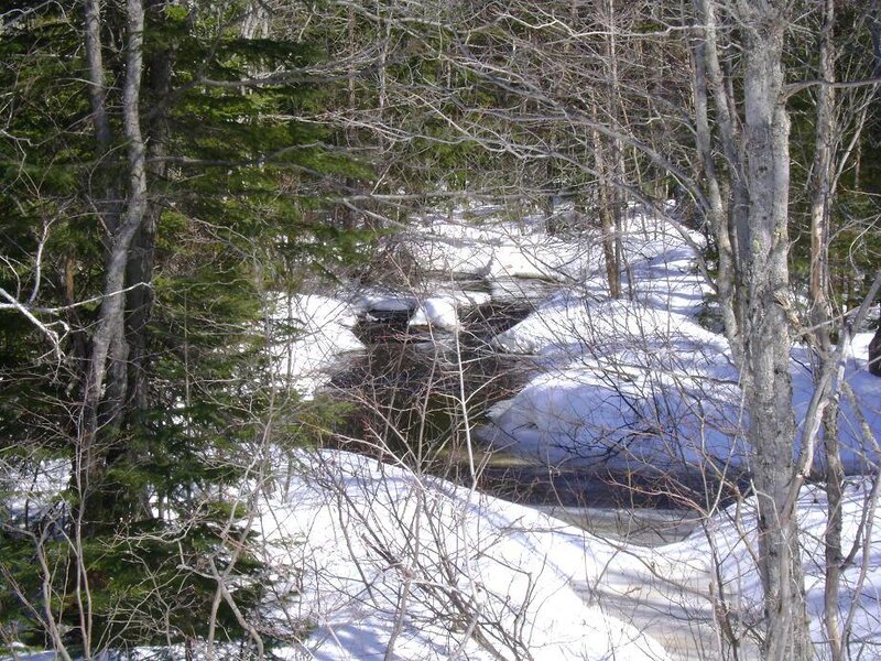 Stream in Snowy Forest — Serene