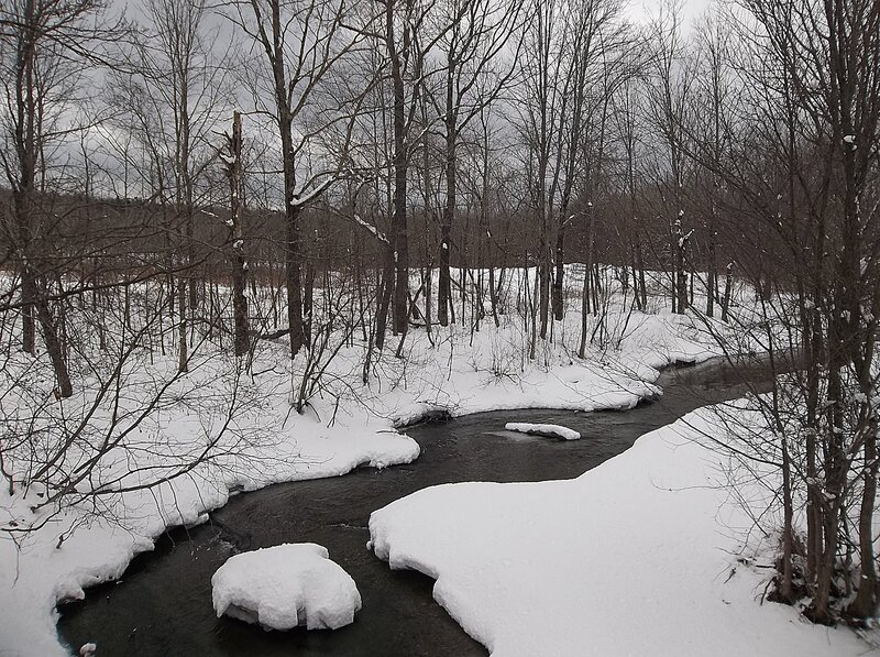 Stream in Snowy Forest — White, Cold
