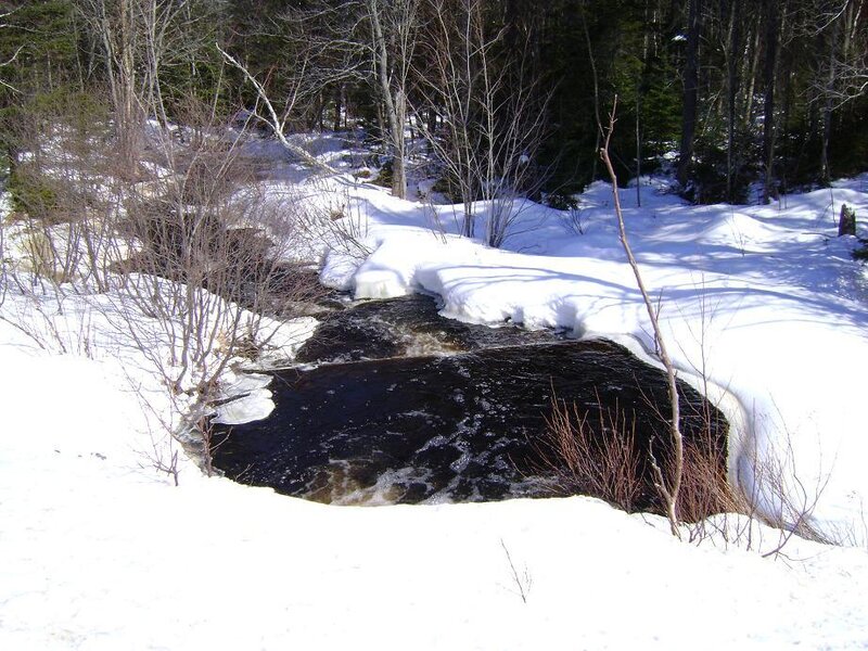 Stream in Snowy Forest — White, Cold, Winter, Photograph