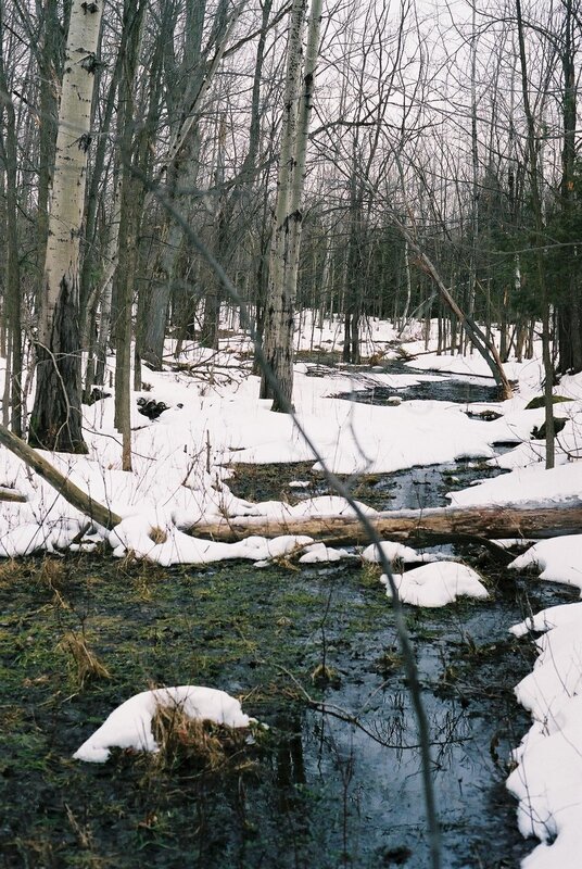 Stream in Snowy Forest — White, Cold, Winter