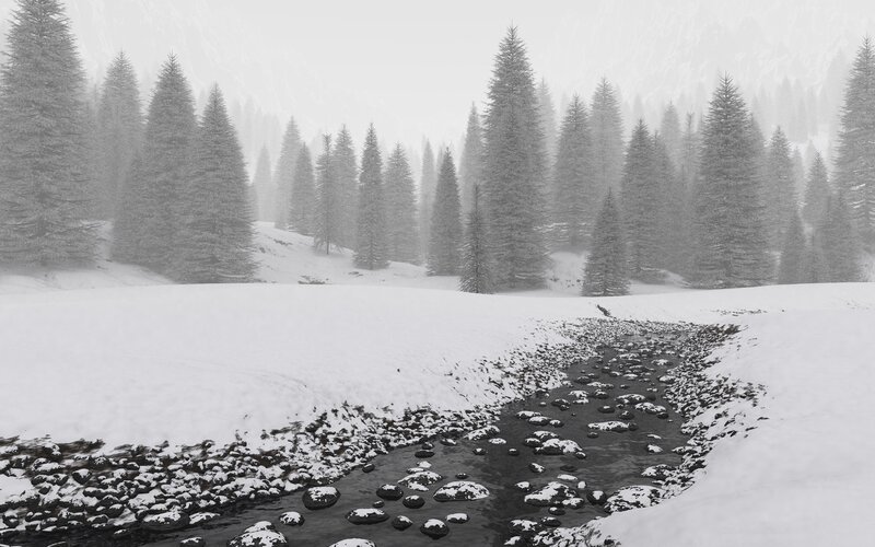 Stream in Snowy Forest — White, Serene