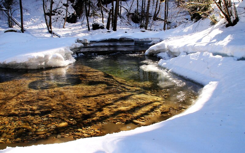 Stream in Snowy Forest — White, Serene, Winter, Photograph, Snow, Trees, Rocks, Brown