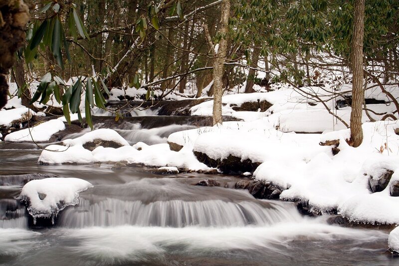 Stream in Snowy Forest — White, Serene, Winter, Photograph, Snow, Trees, Rocks, Green