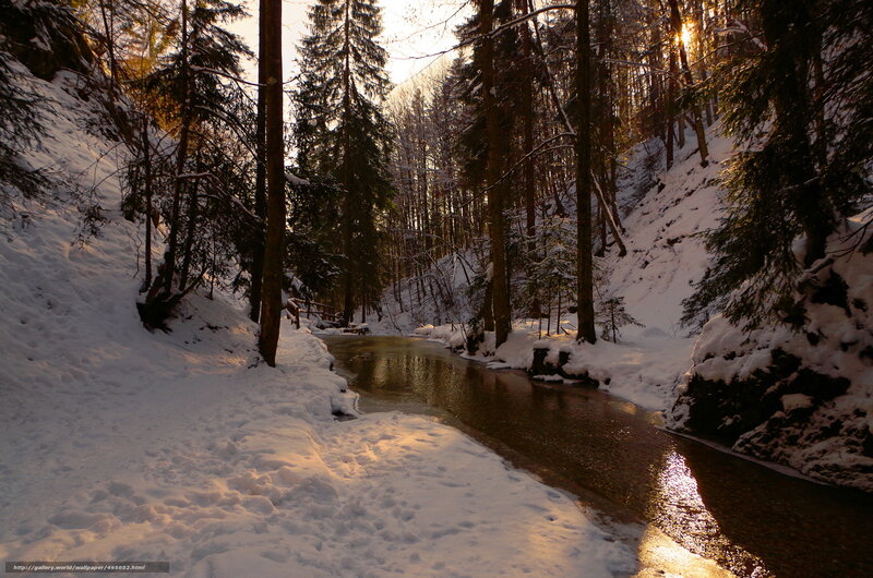Stream in Snowy Forest — White, Serene, Winter, Photograph, Snow, Trees, Sunlight