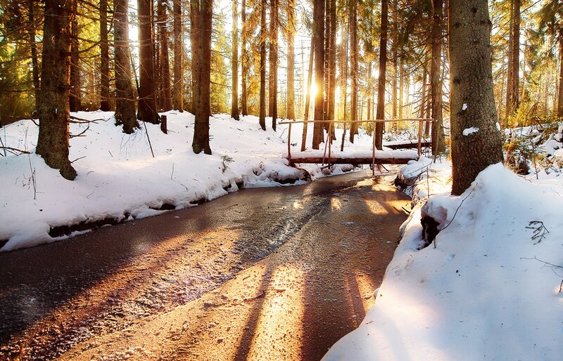 Stream in Snowy Forest — White, Serene, Winter, Photograph