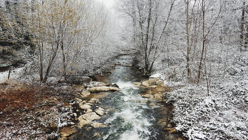Stream in Snowy Forest — White, Serene, Winter, Photograph, Trees, Rocks, Snow