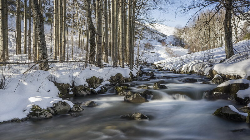 Stream in Snowy Forest — White, Serene, Winter, Photograph, Trees, Rocks