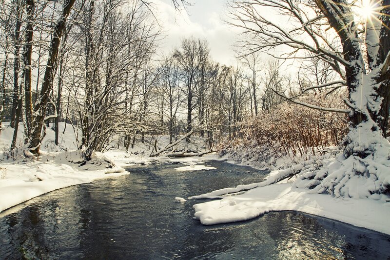 Stream in Snowy Forest — White, Serene, Winter, Photograph, Trees, Snow, River, Sun