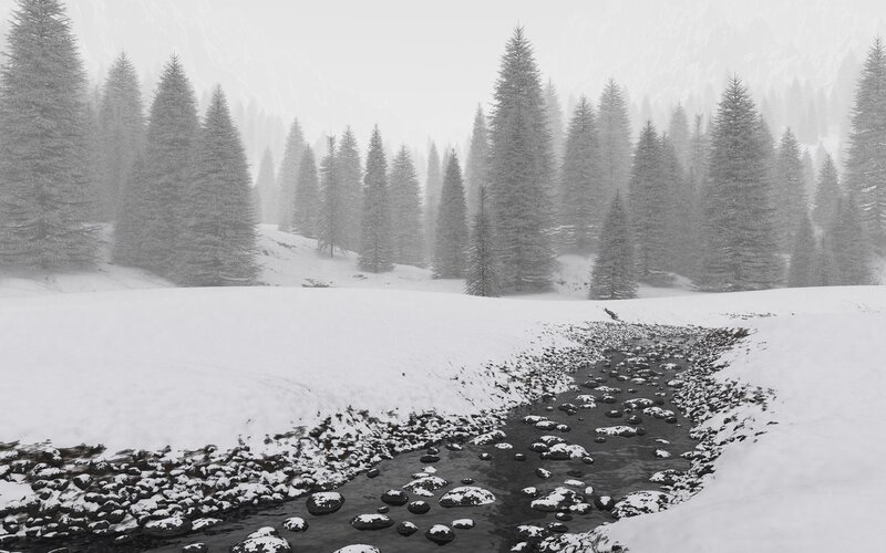 Stream in Snowy Forest — White, Serene, Winter, Photograph, Trees, Snow, Rocks, Gray