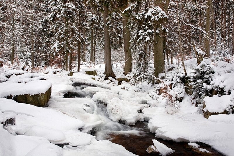 Stream in Snowy Forest — White, Serene, Winter, Photograph, Trees, Snow, Rocks