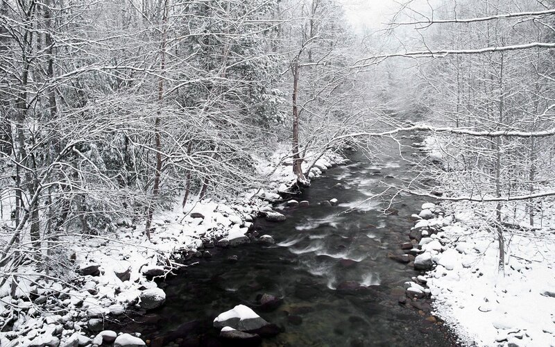 Stream in Snowy Forest — White, Serene, Winter, Photograph, Trees