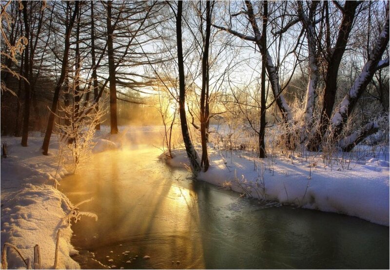 Stream in Snowy Forest — White, Serene, Winter