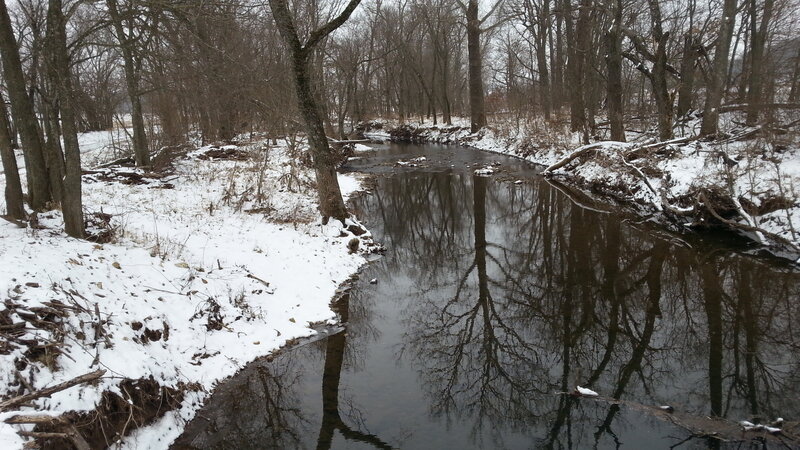 Stream in Snowy Woods — Brown, Serene