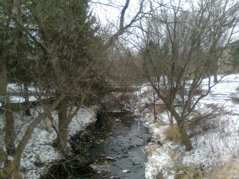 Stream in Snowy Woods — Brown