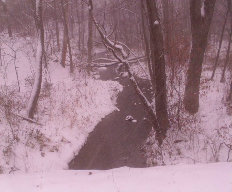 Stream in Snowy Woods