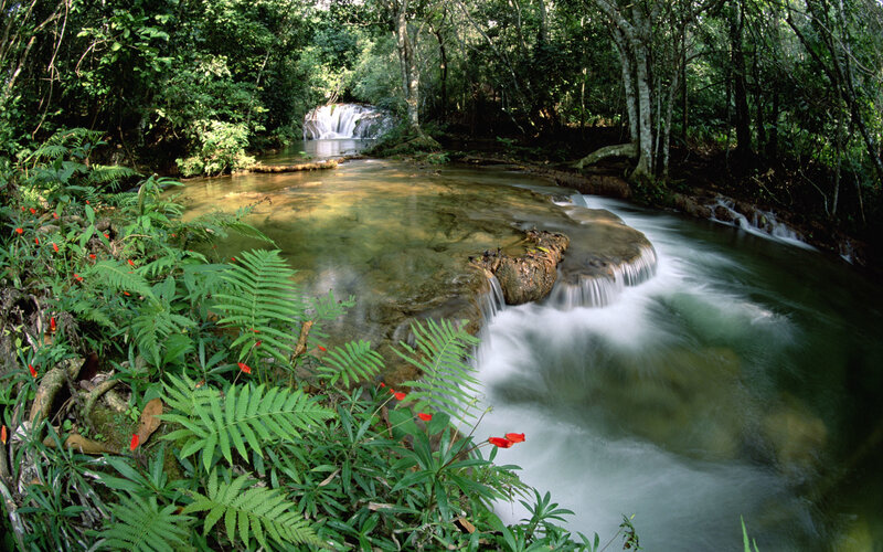 Stream in Tropical Forest — Green, Serene, Afternoon, Photograph, River, Waterfall