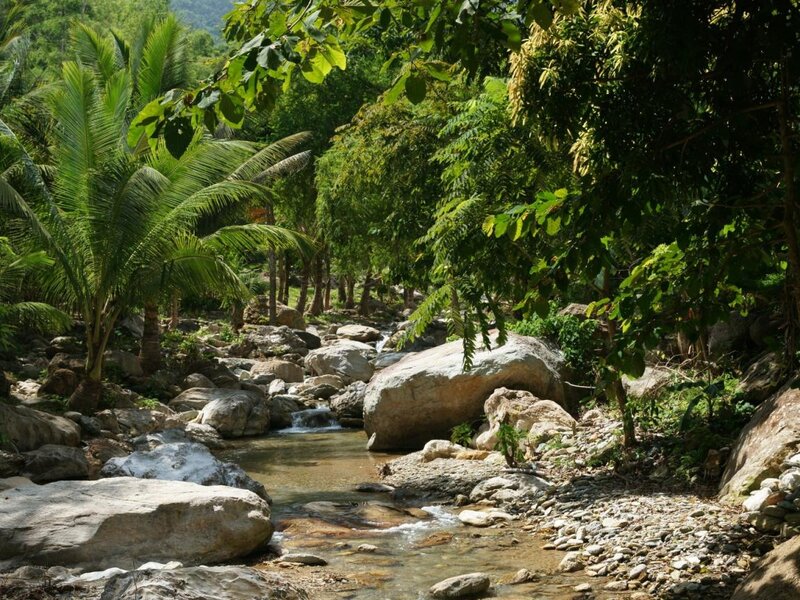 Stream in Tropical Forest — Green, Serene, Afternoon, Photograph, Rocks