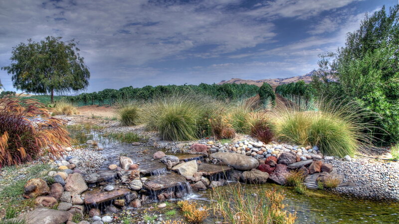 Stream in Vineyard Landscape