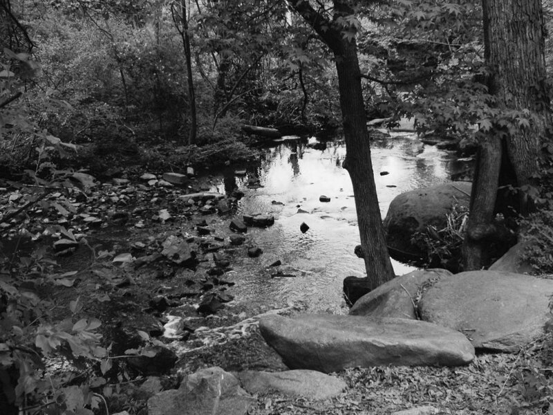 Stream in Wooded Area — Black