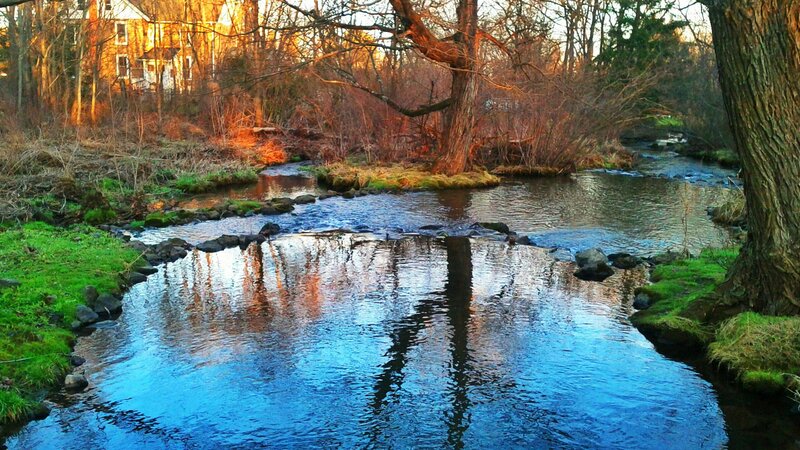 Stream in Wooded Area — Blue, Serene