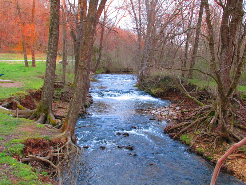Stream in Wooded Area — Blue