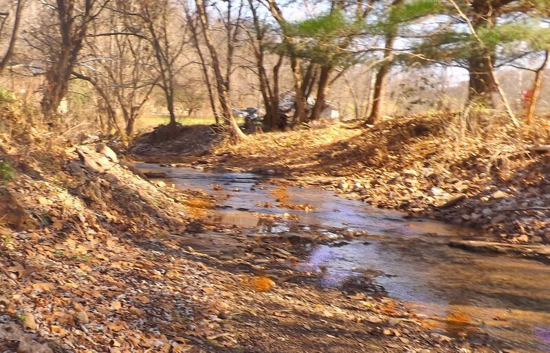 Stream in Wooded Area — Brown, Calm