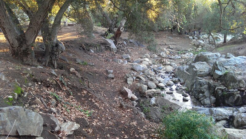 Stream in Wooded Area — Brown, Serene, Afternoon