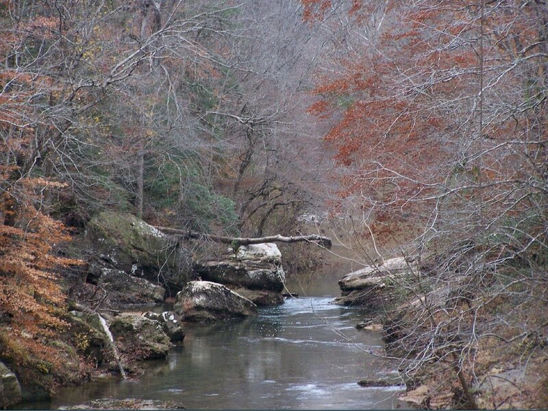 Stream in Wooded Area — Brown, Serene, Autumn, Photograph, Trees, Rocks