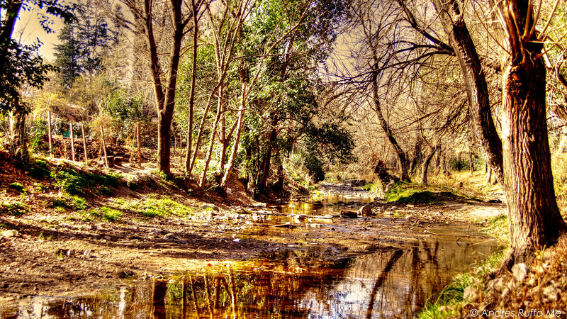 Stream in Wooded Area — Brown, Serene, Autumn, Photograph, Trees