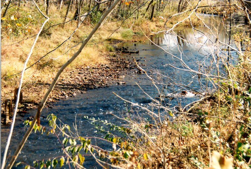 Stream in Wooded Area — Brown, Serene