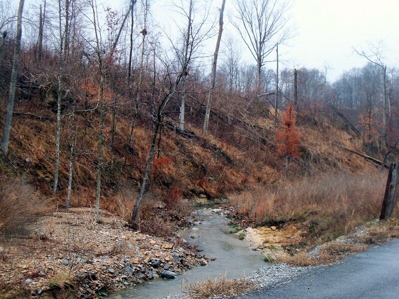 Stream in Wooded Area — Brown
