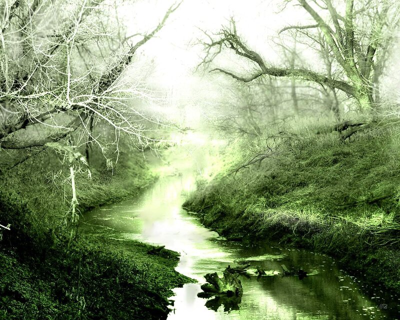 Stream in Wooded Area — Green, Ethereal