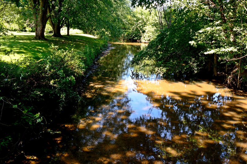 Stream in Wooded Area — Green, Serene, Afternoon, Photograph, Trees, Grass, Shadows