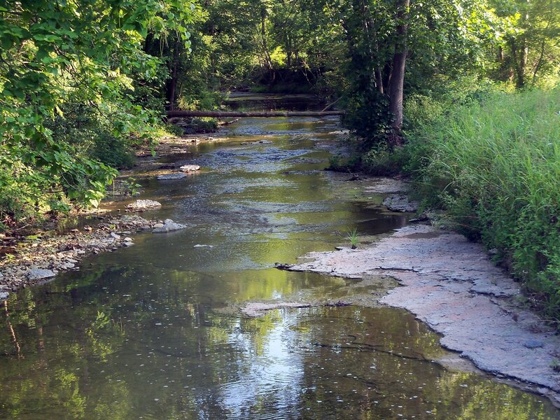 Stream in Wooded Area — Green, Serene, Afternoon