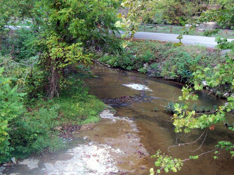 Stream in Wooded Area — Green, Serene, Autumn, Photograph